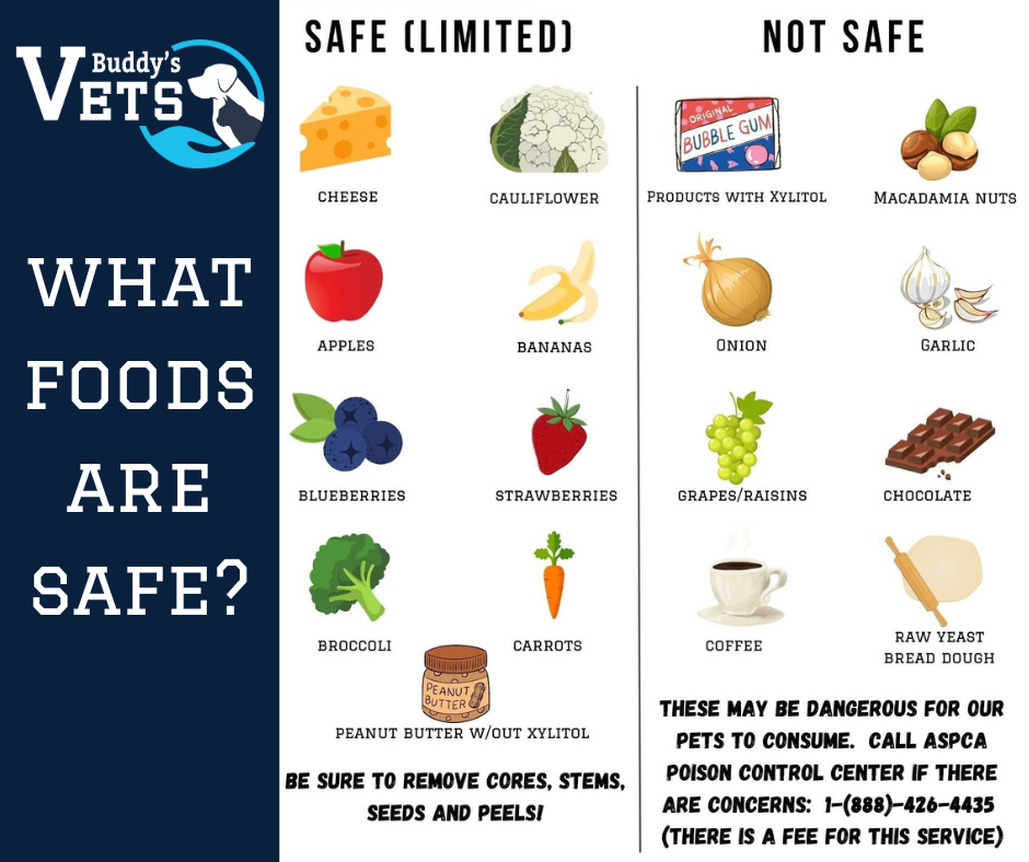Pet poison prevention includes knowing what foods are safe and not safe for your pet.