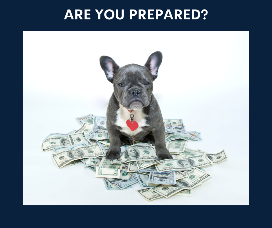 Are you prepared - you can be with premier pet care plans.