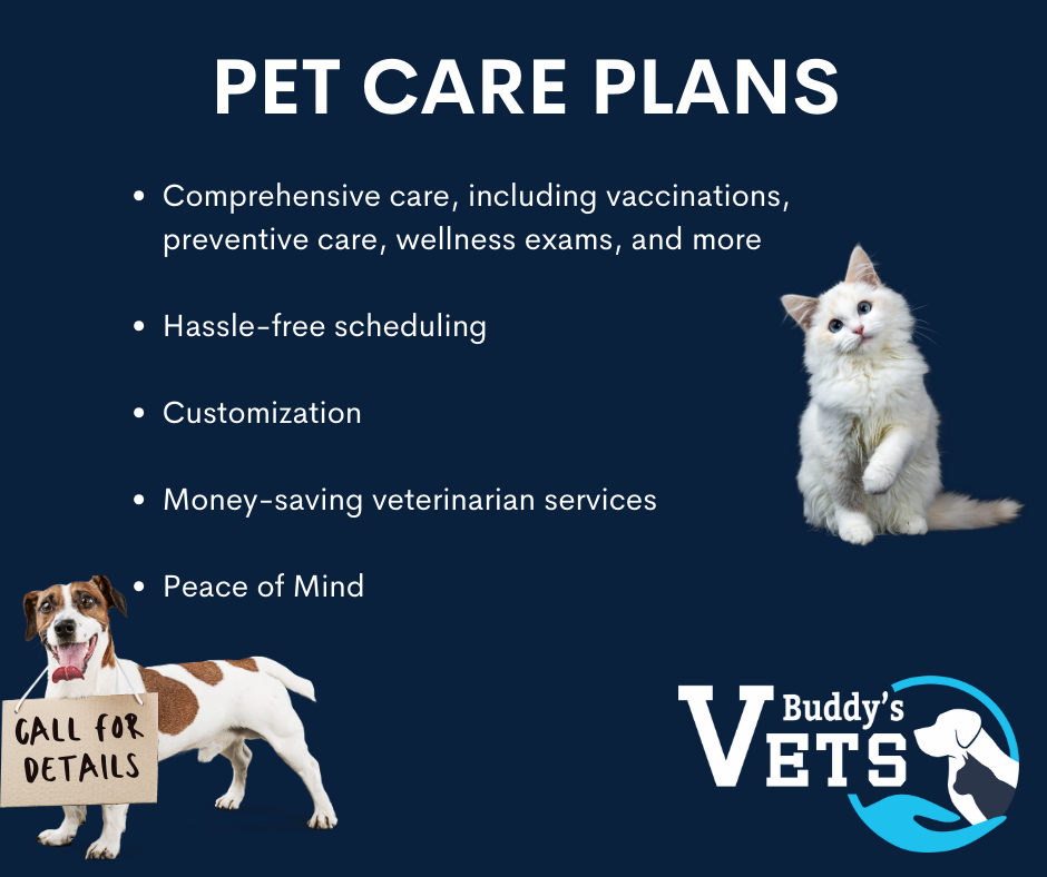 premier pet care plans at Buddy's Vets 