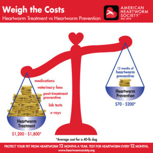The costs of treating heartworm disease