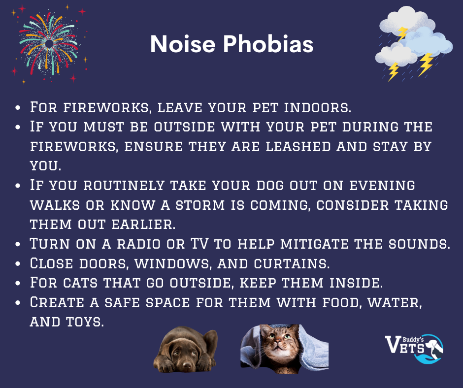 helping pets with noise phobia is a part of summer pet safety