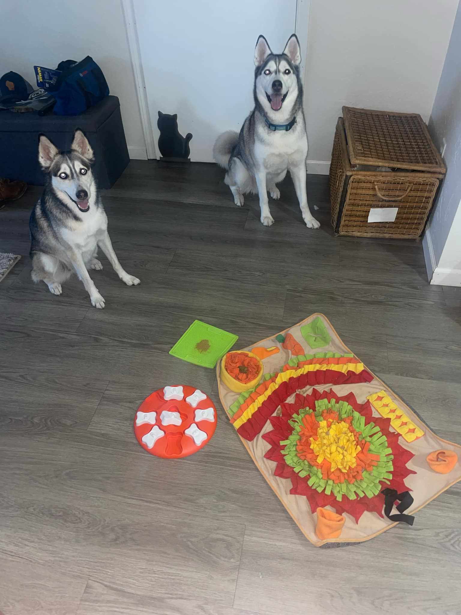 Enrichment toys are a great distraction with back to school and pets