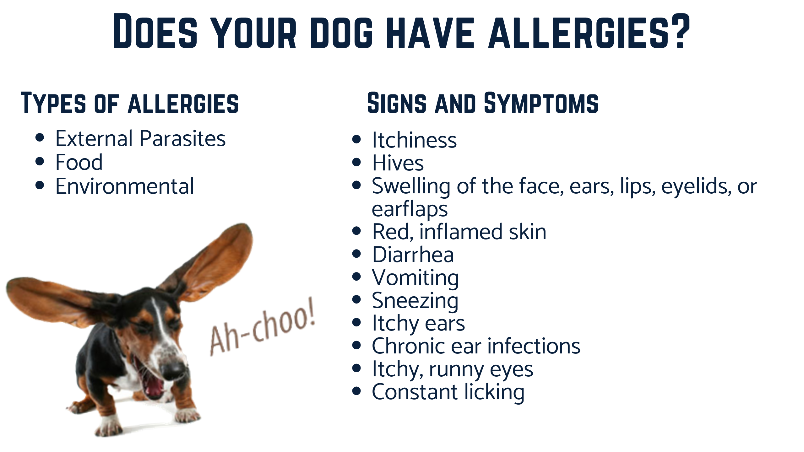 Types of allergies in dogs and what the common sign and symptoms are.