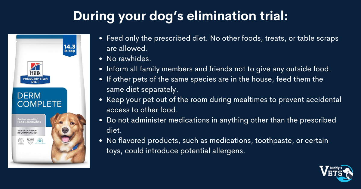 Allergies in dogs can be caused by food. 