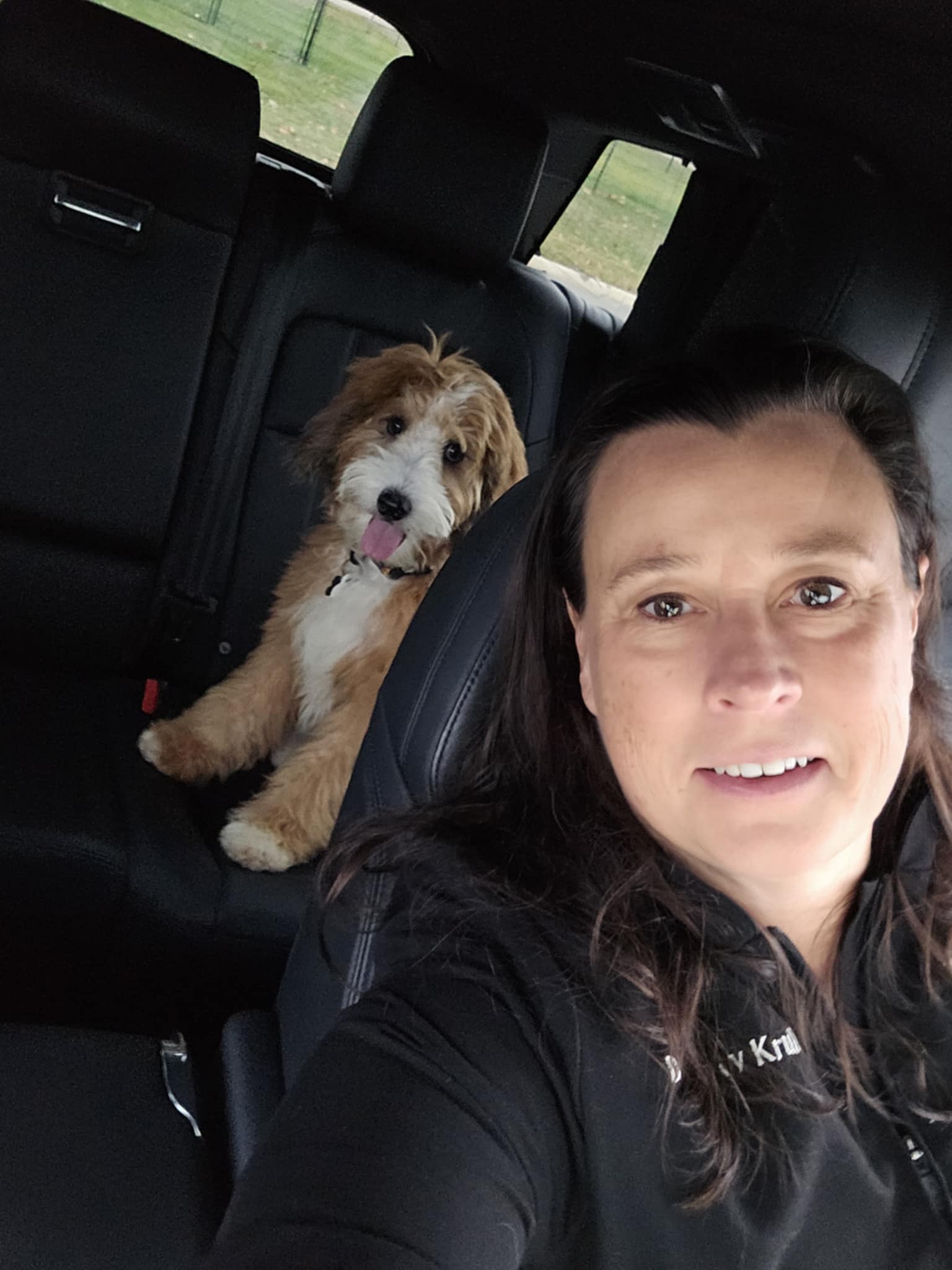 how to travel with pets by car