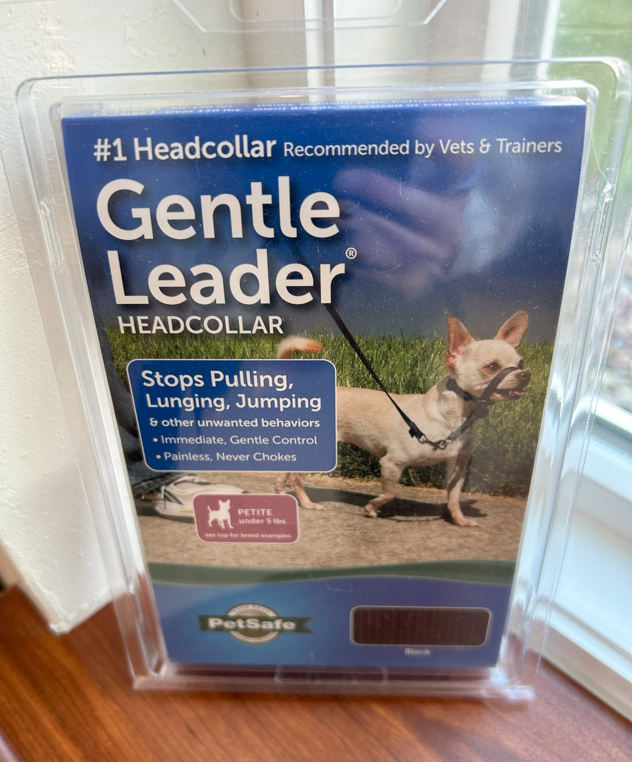 A dog wearing a comfortable gentle leader, promoting safe and controlled walks—an essential item among the best gifts for dogs this holiday season.