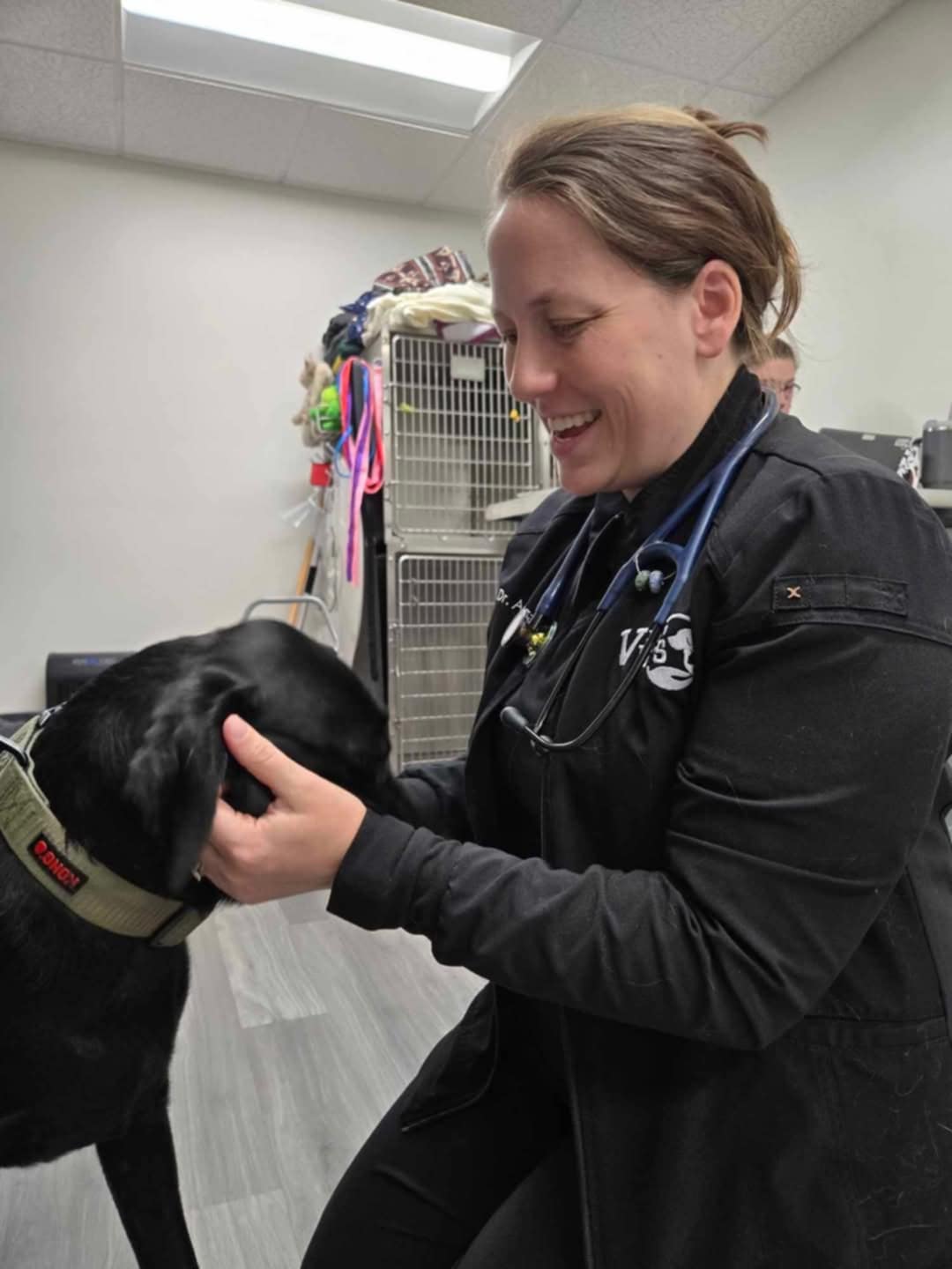 Responsible pet ownership means partnering with your veterinarian. 