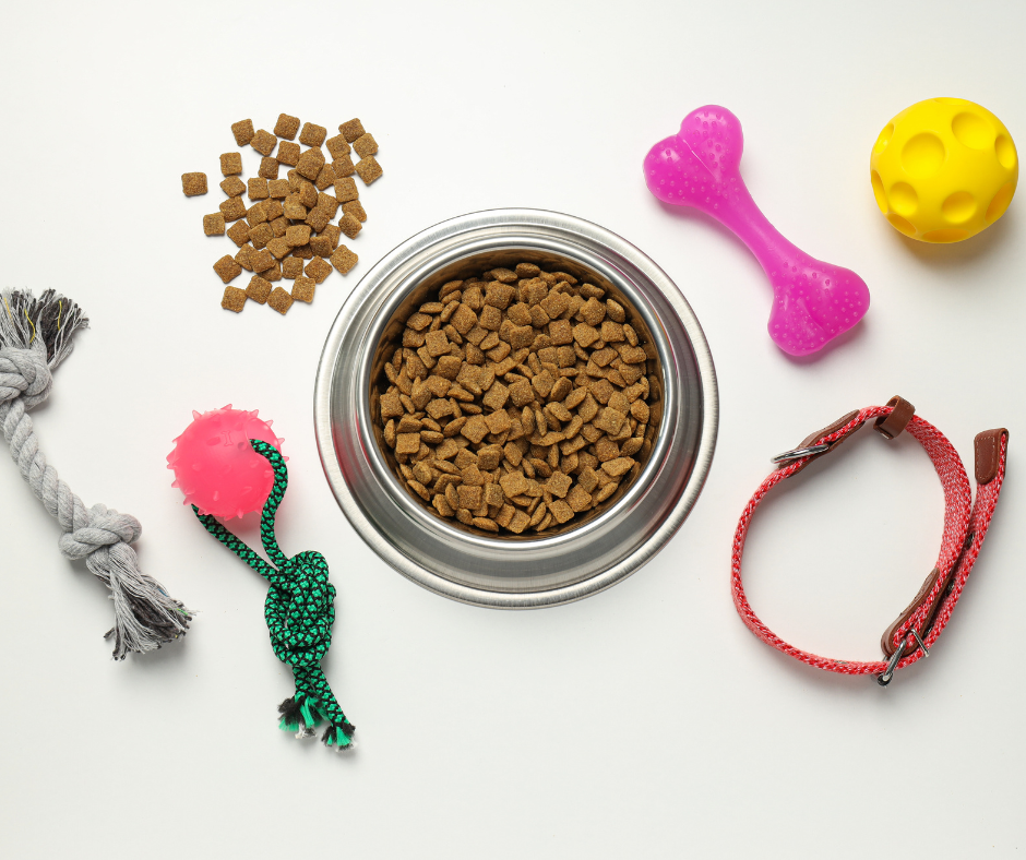 Responsible pet ownership includes making sure your pet has all the essentials.