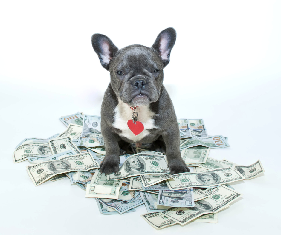 There is a monetary cost that is associated with responsible pet ownership. 